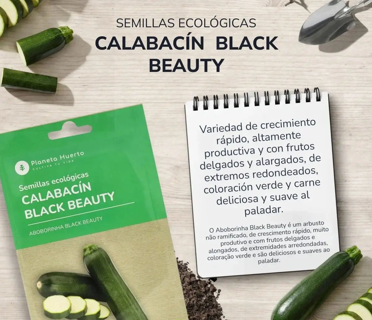 Semillas de Calabacín Black Beauty ecológicas Planeta Huerto 3 Semillas de Calabacín Black Beauty ecológicas Planeta Huerto - Imagen 3