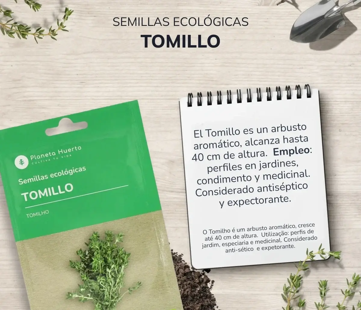 Semillas de Tomillo ecológicas Planeta Huerto 3 Semillas de Tomillo ecológicas Planeta Huerto - Imagen 3