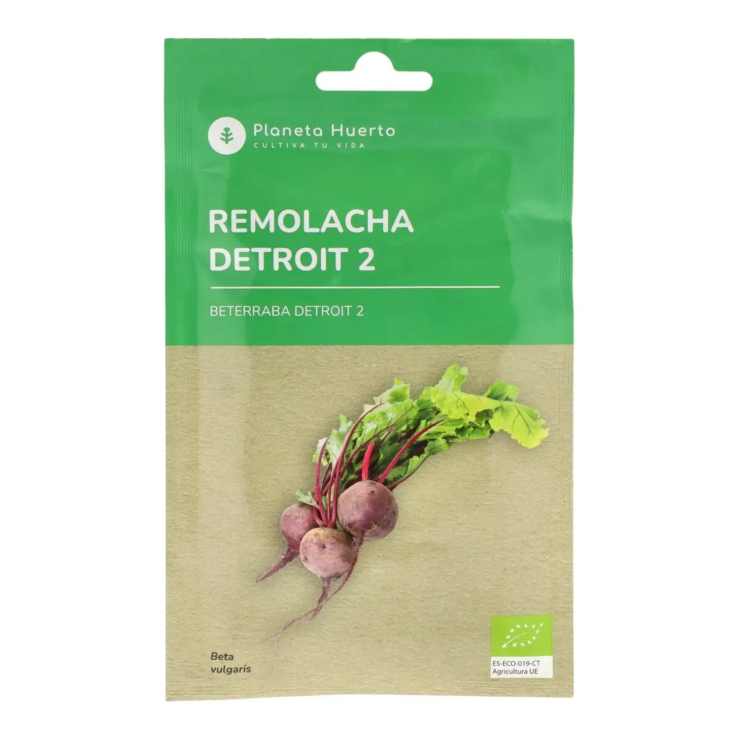 Semillas de Remolacha Detroit 2 ecológicas Planeta Huerto 1 Semillas de Remolacha Detroit 2 ecológicas Planeta Huerto