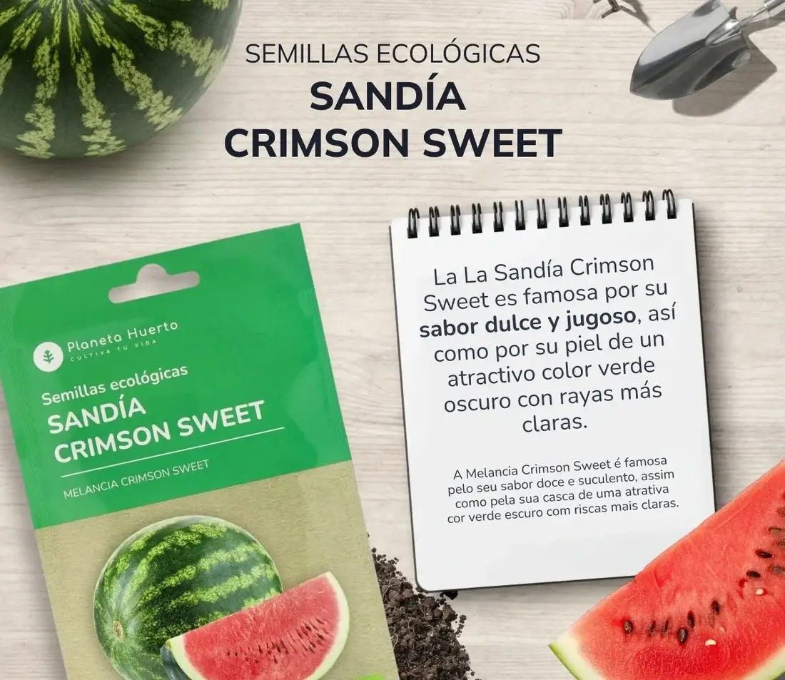 Semillas de Sandía Crimson Sweet ecológicas Planeta Huerto 3 Semillas de Sandía Crimson Sweet ecológicas Planeta Huerto - Imagen 3