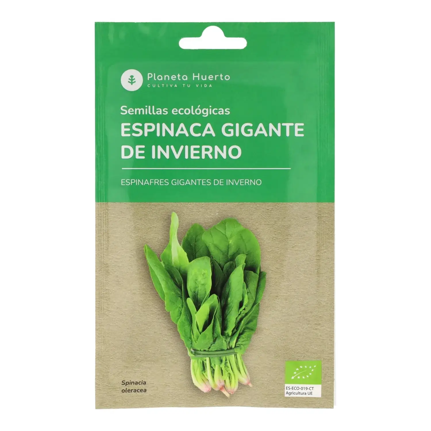 Semillas de Espinaca gigante de invierno ecológicas Planeta Huerto 1 Semillas de Espinaca gigante de invierno ecológicas Planeta Huerto