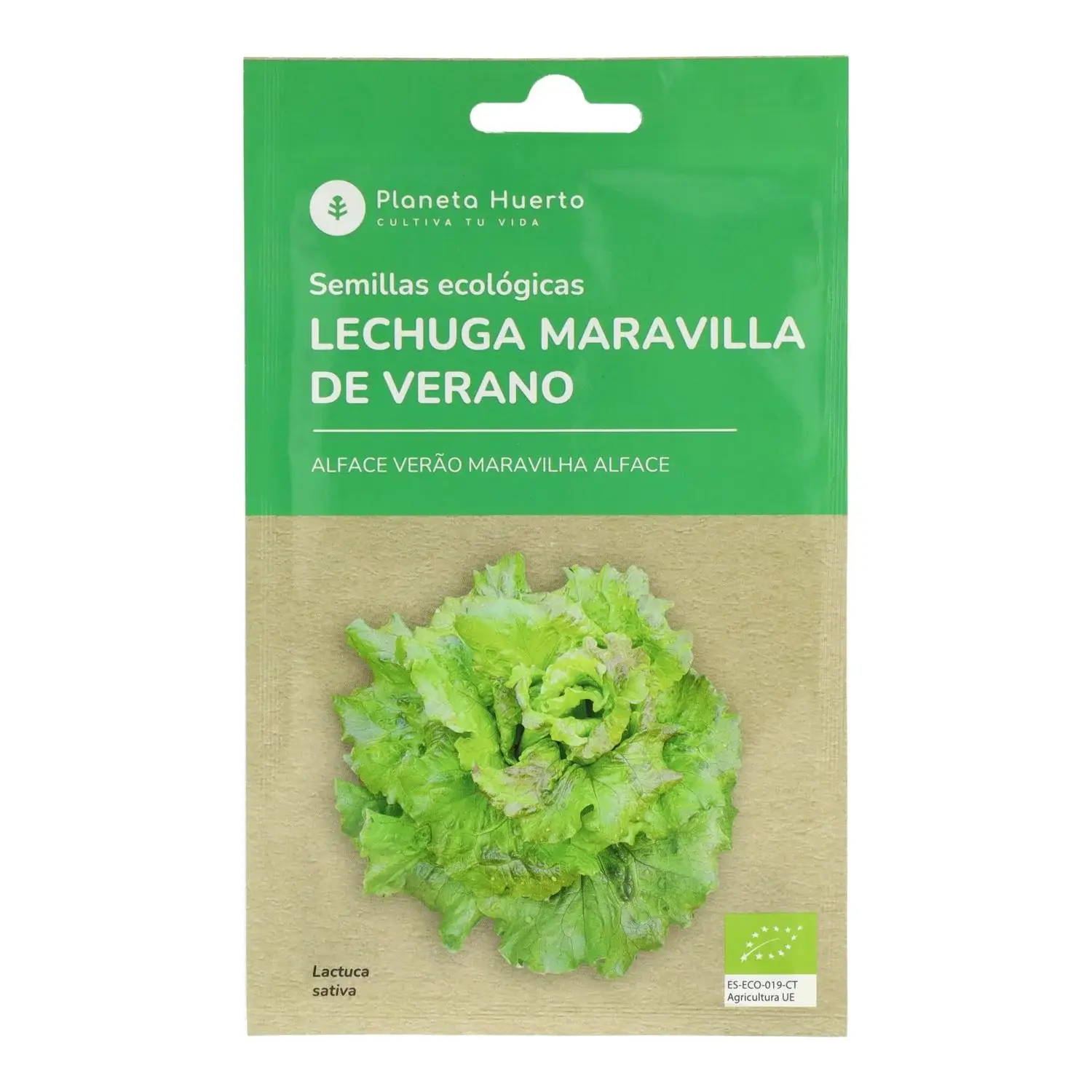 Semillas de Lechuga maravilla de verano ecológicas Planeta Huerto 1 Semillas de Lechuga maravilla de verano ecológicas Planeta Huerto