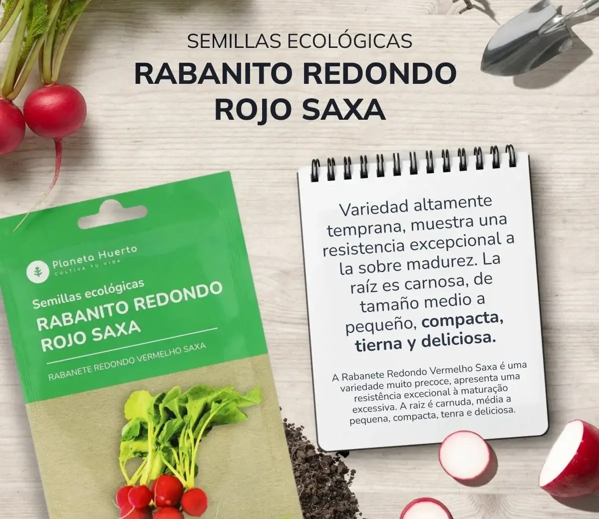Semillas de Rabanito redondo rojo saxa ecológicas Planeta Huerto 3 Semillas de Rabanito redondo rojo saxa ecológicas Planeta Huerto - Imagen 3