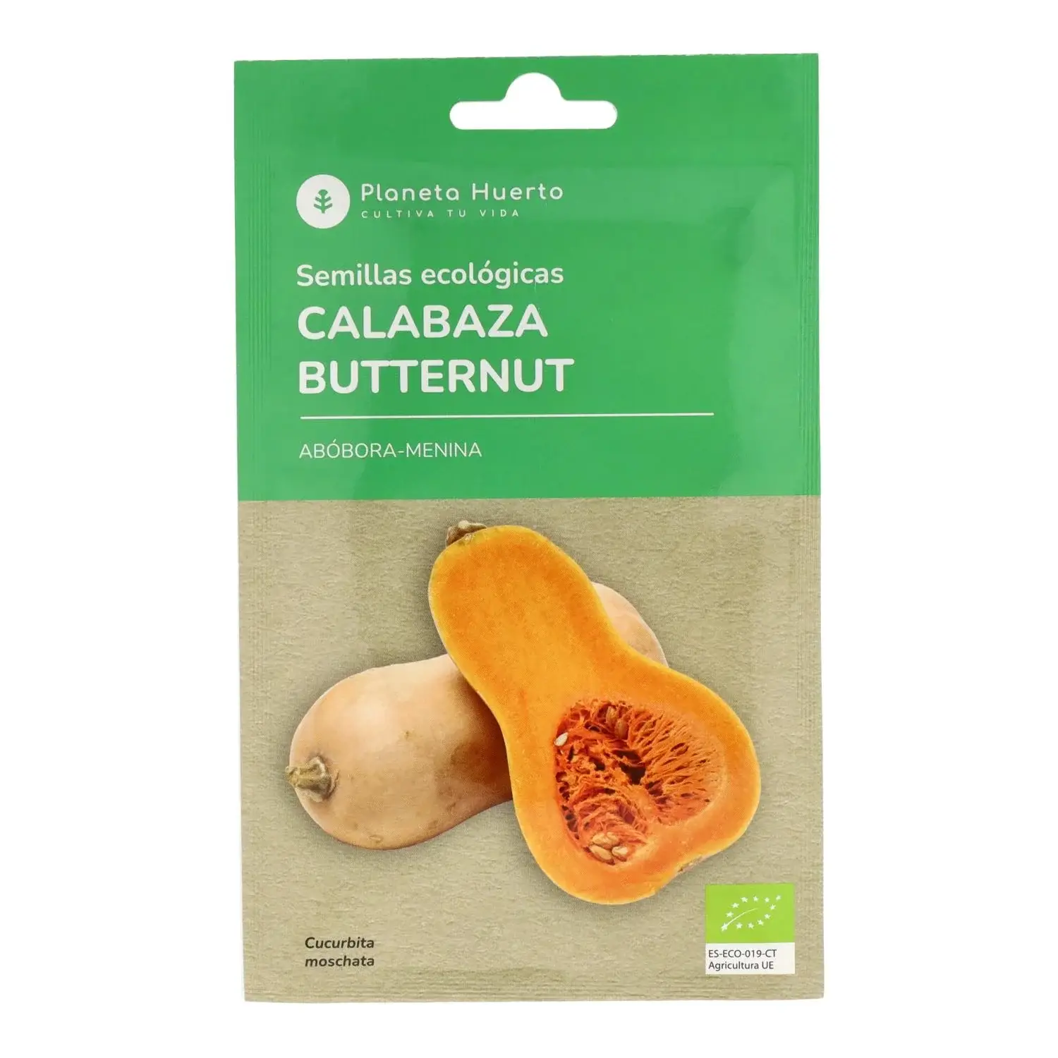 Semillas de Calabaza Butternut ecológicas Planeta Huerto 1 Semillas de Calabaza Butternut ecológicas Planeta Huerto