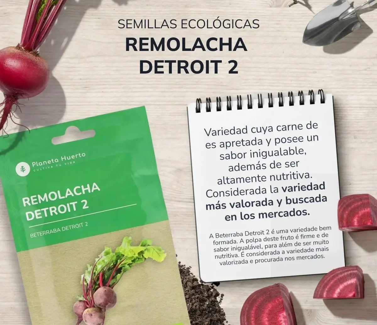 Semillas de Remolacha Detroit 2 ecológicas Planeta Huerto 3 Semillas de Remolacha Detroit 2 ecológicas Planeta Huerto - Imagen 3