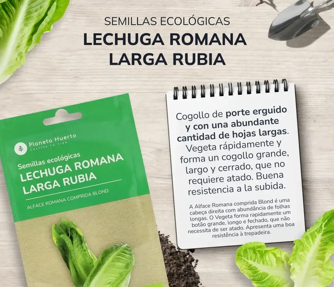 Semillas de Lechuga Romana ecológicas Planeta Huerto 3 Semillas de Lechuga Romana ecológicas Planeta Huerto - Imagen 3