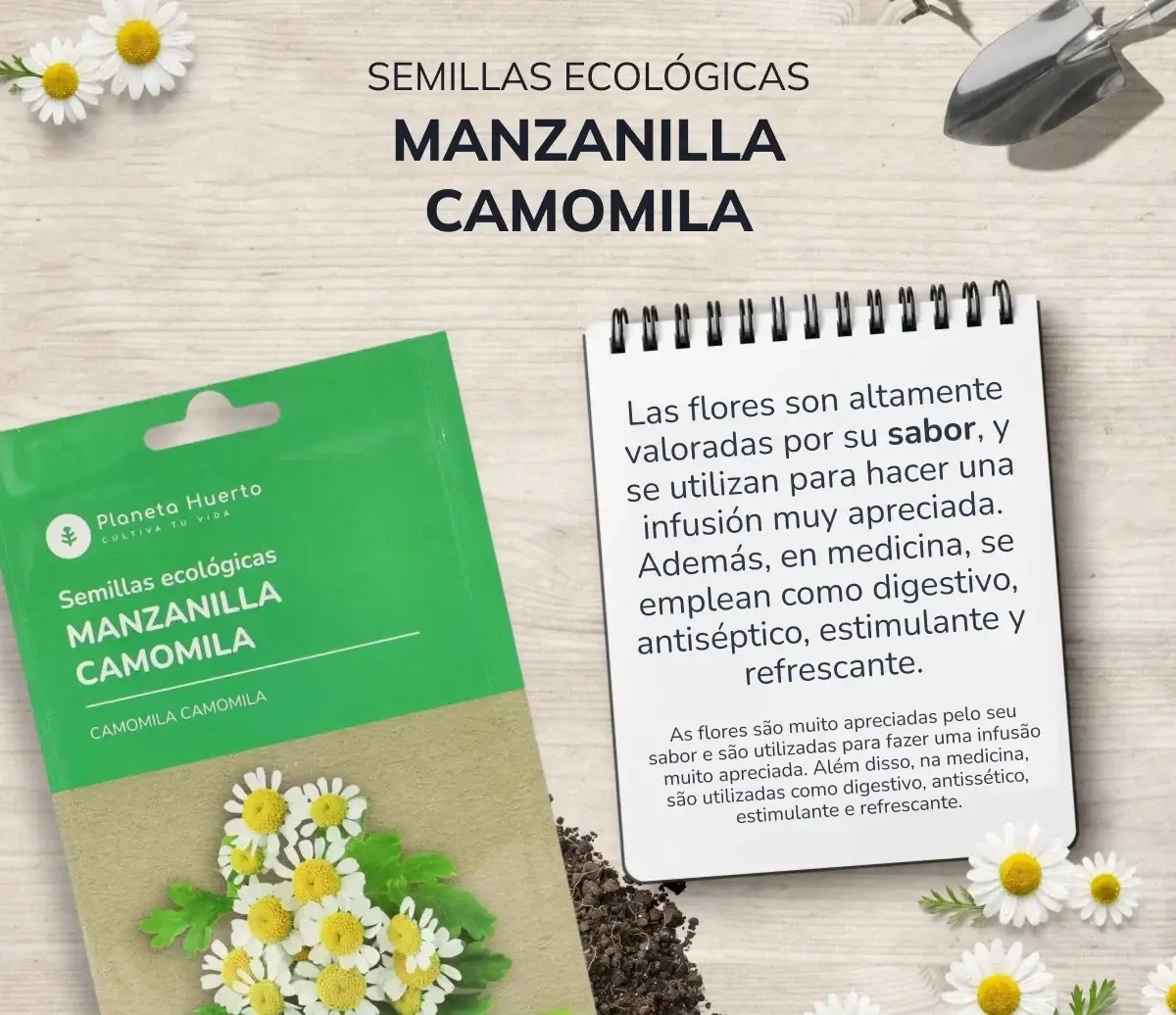 Semillas de Manzanilla camomila ecológicas Planeta Huerto 3 Semillas de Manzanilla camomila ecológicas Planeta Huerto - Imagen 3