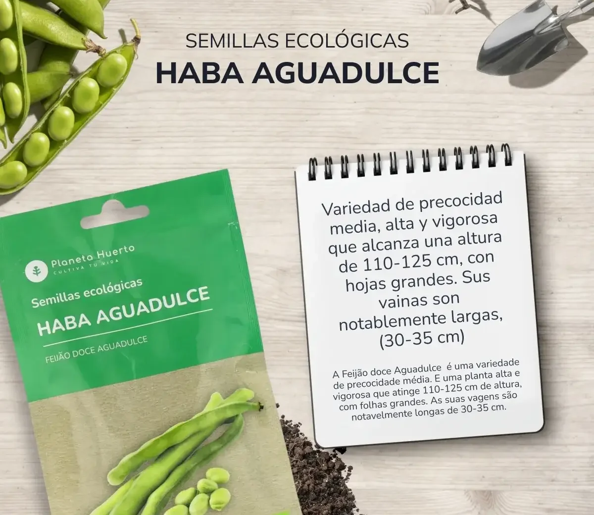 Semillas de Haba Aguadulce ecológicas Planeta Huerto 3 Semillas de Haba Aguadulce ecológicas Planeta Huerto - Imagen 3