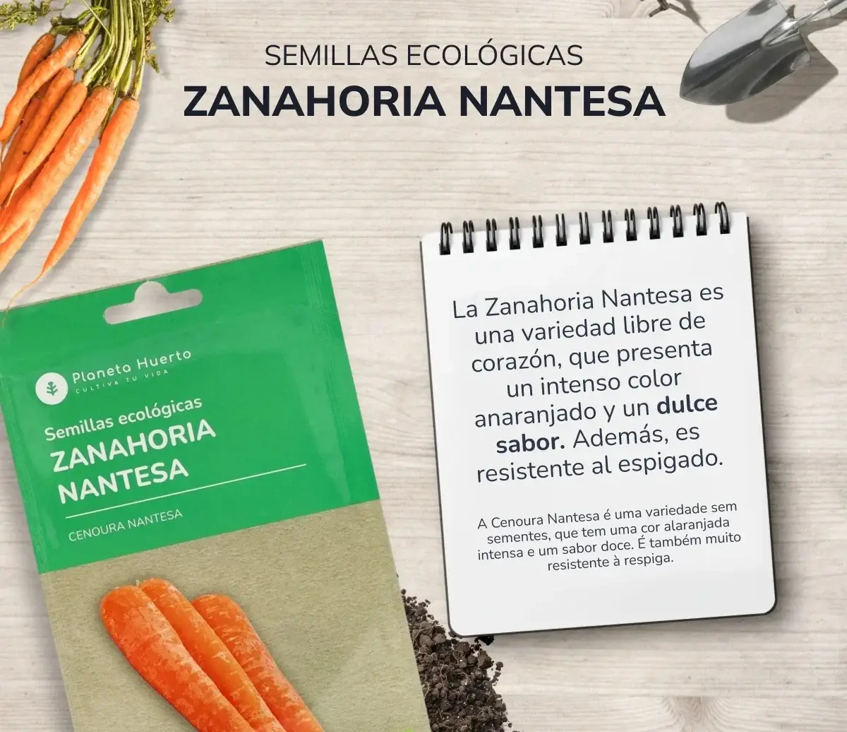 Semillas de Zanahoria Nantesa ecológicas Planeta Huerto 3 Semillas de Zanahoria Nantesa ecológicas Planeta Huerto - Imagen 3