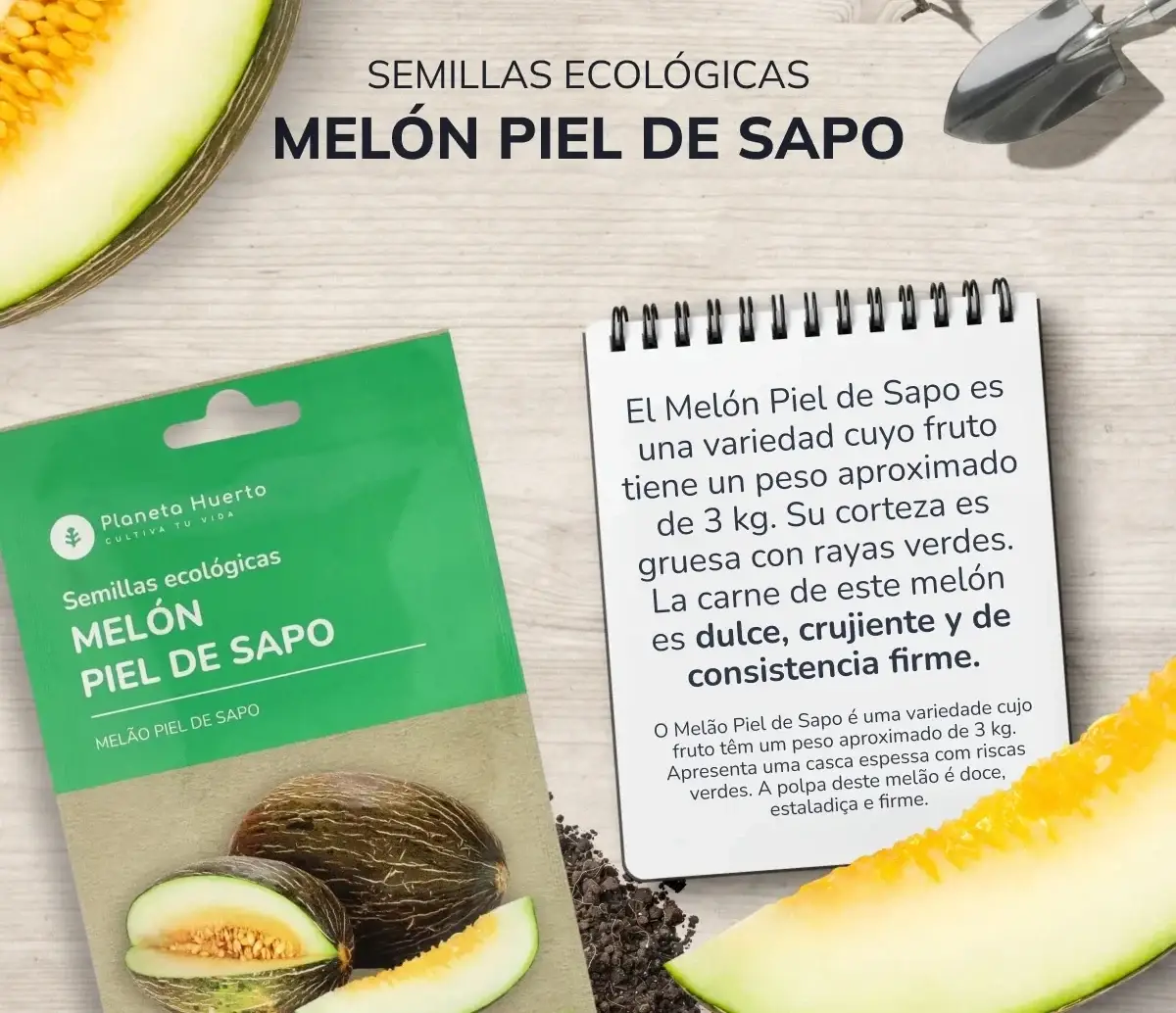 Semillas de Melón piel de sapo ecológicas Planeta Huerto 3 Semillas de Melón piel de sapo ecológicas Planeta Huerto - Imagen 3