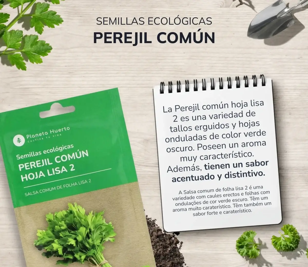 Semillas de Perejil común hoja lisa ecológicas Planeta Huerto 3 Semillas de Perejil común hoja lisa ecológicas Planeta Huerto - Imagen 3